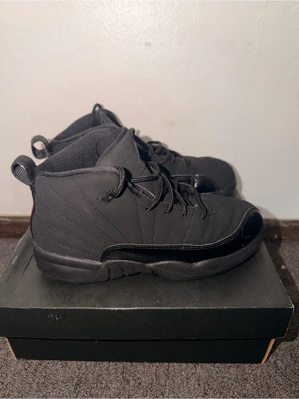 Jordan 12 black